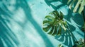 Generative AI Mint Blue cement texture wall leaf plant shadow backgroundSummer tropical travel beach with minimal Royalty Free Stock Photo