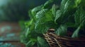 Generative AI Mint Bunch of Fresh green organic mint leaf on wooden table closeup Selective focus Peppermint in sm Royalty Free Stock Photo