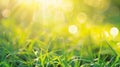Generative AI natural grass field background with blurred bokeh and sun rays business concept. Royalty Free Stock Photo