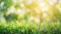 Generative AI natural grass field background with blurred bokeh and sun rays business concept. Royalty Free Stock Photo