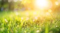 Generative AI natural grass field background with blurred bokeh and sun rays business concept. Royalty Free Stock Photo