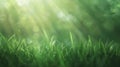 Generative AI natural grass field background with blurred bokeh and sun rays business concept. Royalty Free Stock Photo