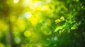 Generative AI Natural green yellow blurred background Green yellow bokeh on nature defocus abstract blur backgroun Royalty Free Stock Photo
