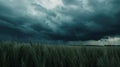 Generative AI Natural rural summer panoramic landscape Wheat field against stormy sky with dark clouds Nature befo