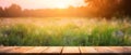 generative AI. Nature\'s Serenity: Empty Wooden Table in Front of Wild Meadow at Sunset