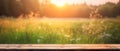 generative AI. Nature\'s Serenity: Empty Wooden Table in Front of Wild Meadow at Sunset