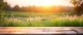 generative AI. Nature\'s Serenity: Empty Wooden Table in Front of Wild Meadow at Sunset