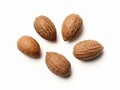 Nutmeg_isolated_on_white_background_1696416681281_1 Royalty Free Stock Photo