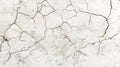 Generative AI old white concrete wall for vintage background with many small cracks - top view business concept. Royalty Free Stock Photo