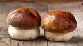 Generative AI Pair of cep penny bun or porcino Boletus edulis is a basidiomycete fungus Macro close up of deliciou