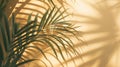 Generative AI Palm leaves shadow on beige background, freeze motion business concept. Royalty Free Stock Photo