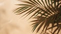 Generative AI Palm leaves shadow on beige background, freeze motion business concept. Royalty Free Stock Photo