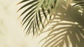 Generative AI Palm leaves shadow on beige background, freeze motion business concept. Royalty Free Stock Photo