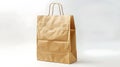 Generative AI Paper bag Kraft paper shopping bag Brown folded paper bag with handle Empty grocery paper bag Recycl
