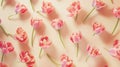 Generative AI Peony tulips flower spring holiday flowery pastel colored pattern minimal style flowery flat lay flo Royalty Free Stock Photo