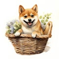 Dog_Shiba_Watercolor1_3