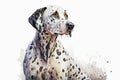 Generative AI. Portrait of Dalmatian dog. The Dalmatian is a breed of medium sized dog