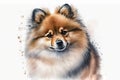 Generative AI. Portrait of a Pomeranian or Spitz. Small Toy Dog Breeds