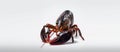 Lobster closeup on isolated white background generative AI Royalty Free Stock Photo