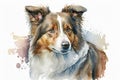 Generative AI. Realistic Portrait of Australian Collie, shepherd dog Royalty Free Stock Photo