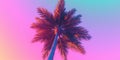 Generative AI, retro california coconut palms. Hawaii palm trees at sunset.