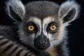 Generative AI. Ring-tailed lemur (Lemur catta) is a large strepsirrhine primate Royalty Free Stock Photo