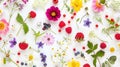 Generative AI Seamless pattern from plants wild flowers and  berries isolated on white background flat lay top vie Royalty Free Stock Photo