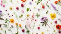 Generative AI Seamless pattern from plants wild flowers and  berries isolated on white background flat lay top vie Royalty Free Stock Photo