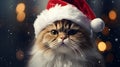 Generative AI. Serious ginger cat in a Santa hat