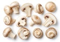 Generative AI Set of fresh whole and sliced champignon mushrooms isolated on white background. Top view business c Royalty Free Stock Photo