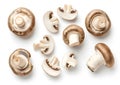 Generative AI Set of fresh whole and sliced champignon mushrooms  on white background. Top view business c Royalty Free Stock Photo