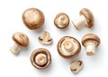 Generative AI Set of fresh whole and sliced champignon mushrooms  on white background. Top view business c Royalty Free Stock Photo