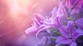 soft_purple_rain_lilly_flower_romance_background_2 Royalty Free Stock Photo