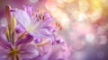 soft_purple_rain_lilly_flower_romance_background_3 Royalty Free Stock Photo