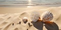 Soft shadows and light play over two delicate seashells resting on smooth sands, evoking a serene and tranquil beach atmosphere