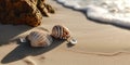 Soft shadows and light play over two delicate seashells resting on smooth sands, evoking a serene and tranquil beach atmosphere