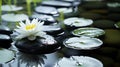Generative AI Spa - Natural Alternative Therapy With Massage Stones And Waterlily In Water business concept. Royalty Free Stock Photo