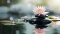 Generative AI Spa - Natural Alternative Therapy With Massage Stones And Waterlily In Water business concept. Royalty Free Stock Photo