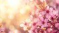 Generative AI Spring border or background art with pink blossom. Beautiful nature scene with blooming tree and sun Royalty Free Stock Photo