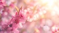 Generative AI Spring border or background art with pink blossom. Beautiful nature scene with blooming tree and sun Royalty Free Stock Photo