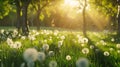 Generative AI Spring Nature scene Beautiful Landscape Park with dandelions Green Grass Trees and flowers Tranquil Royalty Free Stock Photo