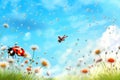 Spring_summer_background_with_fresh_green_grass_and_1690445467489_7 Royalty Free Stock Photo
