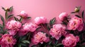 Generative AI Tender peonies on pink background with copy space. Abstract natural floral frame layout with text sp