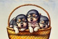 Three adorable newborn puppies in a basket