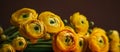 generative ai tools .Yellow ranunculus flowers close-up on yellow background with copy space