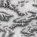 Generative AI Topographic Map Seamless Pattern- Royalty Free Stock Photo