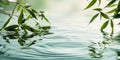 Tranquil spa banner with serene bamboo leaves over rippling water bathed in soft sunlight, embodying calm and purity Royalty Free Stock Photo