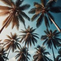 Generative AI tropical background with palm trees against a blue sky in the morning Royalty Free Stock Photo