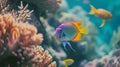 Tropical_sea_underwater_fishes_on_coral_reef_4