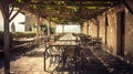 Generative AI Typical Italian rooftop restaurant wooden tables in Tuscany with covered roof pergola vine canopy wi Royalty Free Stock Photo